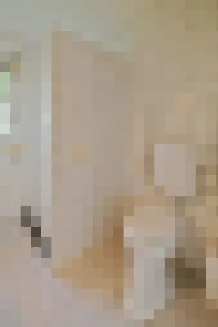Engeweg 6 Wijhe thumbnail 25
