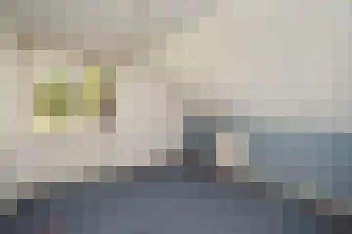 Engeweg 6 Wijhe thumbnail 29