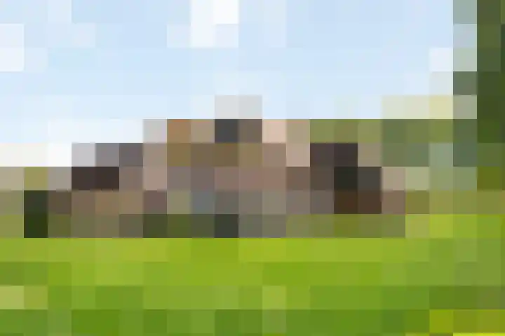 Engeweg 6 Wijhe foto 3