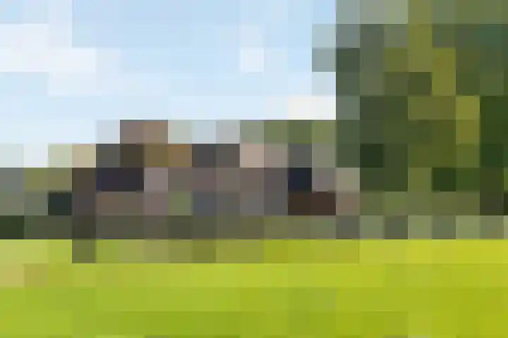 Engeweg 6 Wijhe thumbnail 4
