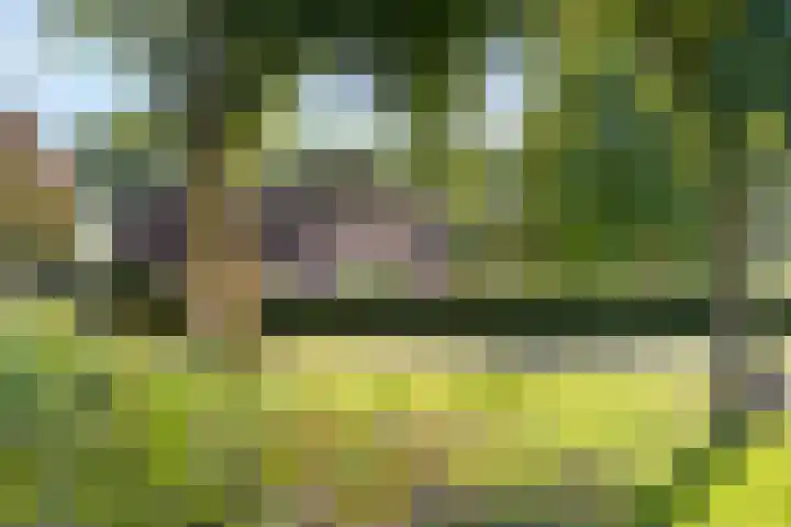 Engeweg 6 Wijhe thumbnail 5