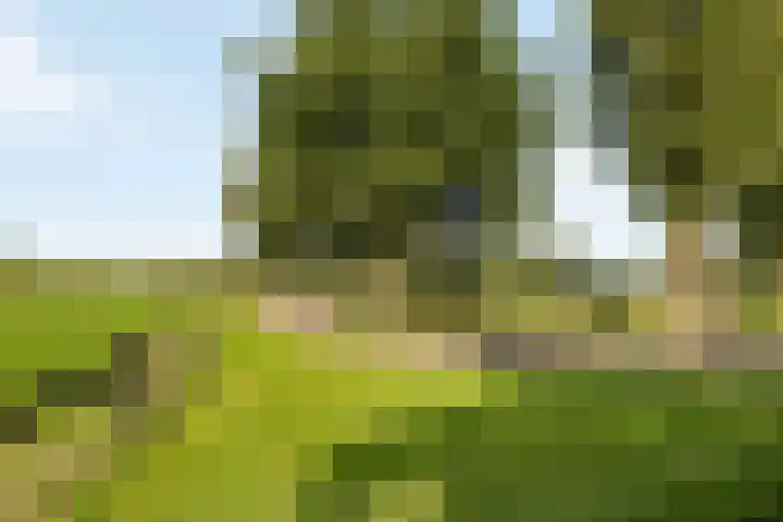 Engeweg 6 Wijhe thumbnail 6