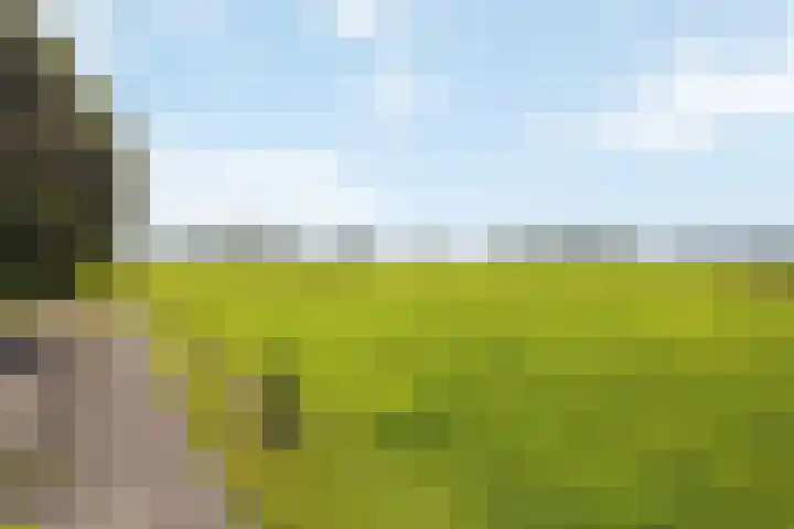 Engeweg 6 Wijhe thumbnail 7