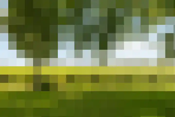 Engeweg 6 Wijhe thumbnail 8