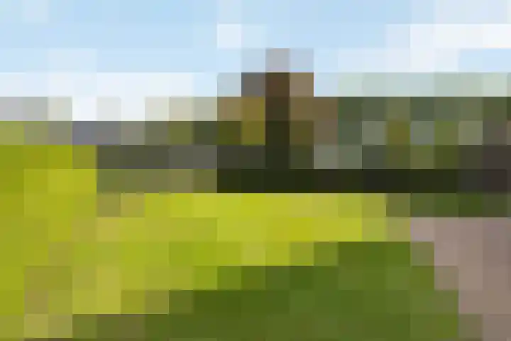 Engeweg 6 Wijhe thumbnail 9