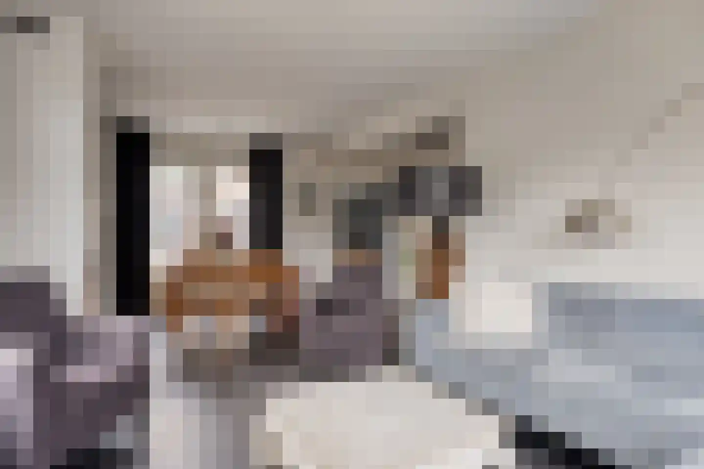 Enggraaf 23 Haaften thumbnail 10