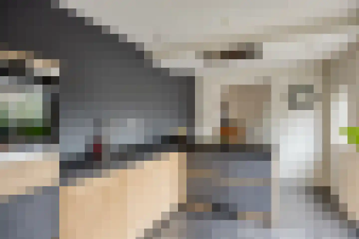 Enggraaf 23 Haaften thumbnail 14
