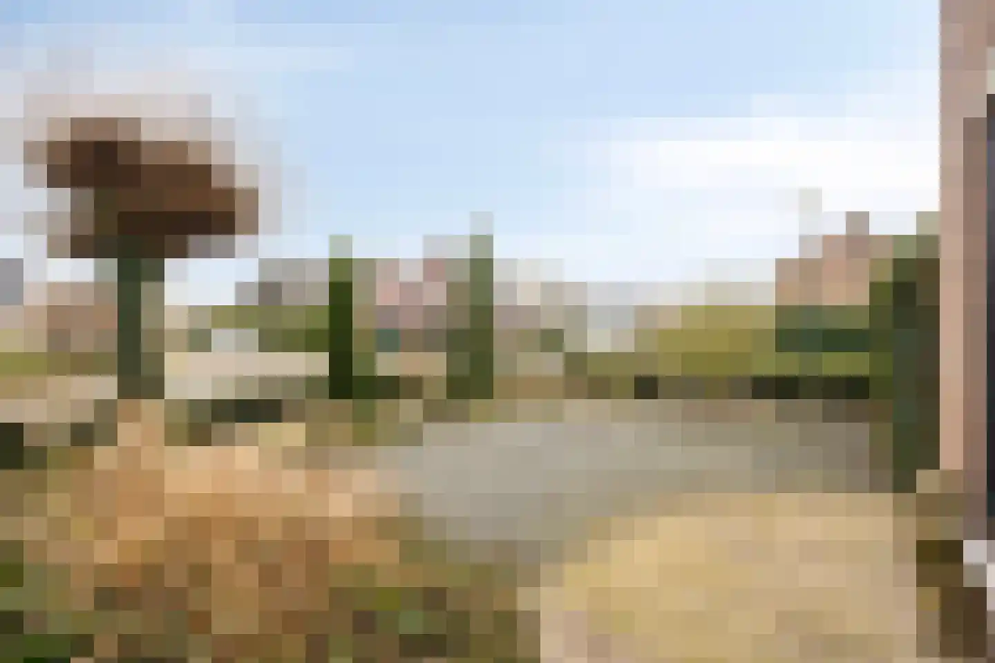 Enggraaf 23 Haaften thumbnail 6