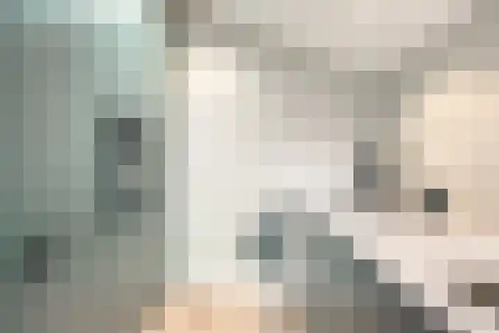 Engherzandweg 19 Linschoten thumbnail 11