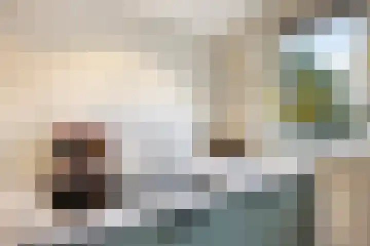 Engherzandweg 19 Linschoten thumbnail 13