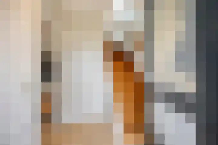 Engherzandweg 19 Linschoten thumbnail 17