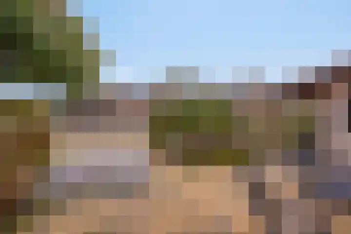 Engherzandweg 19 Linschoten thumbnail 31