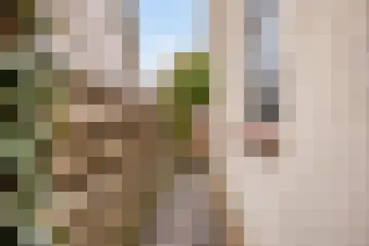 Engherzandweg 19 Linschoten thumbnail 33