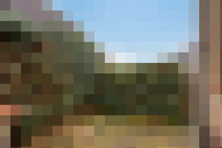 Engherzandweg 19 Linschoten thumbnail 34