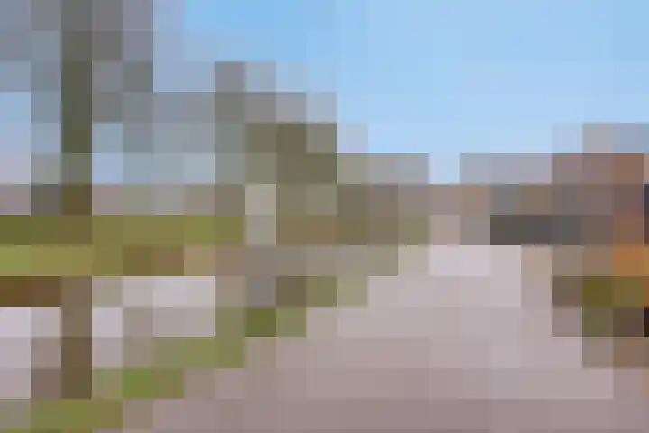 Engherzandweg 19 Linschoten thumbnail 36