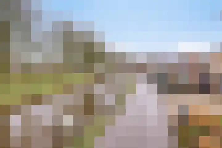 Engherzandweg 19 Linschoten thumbnail 37