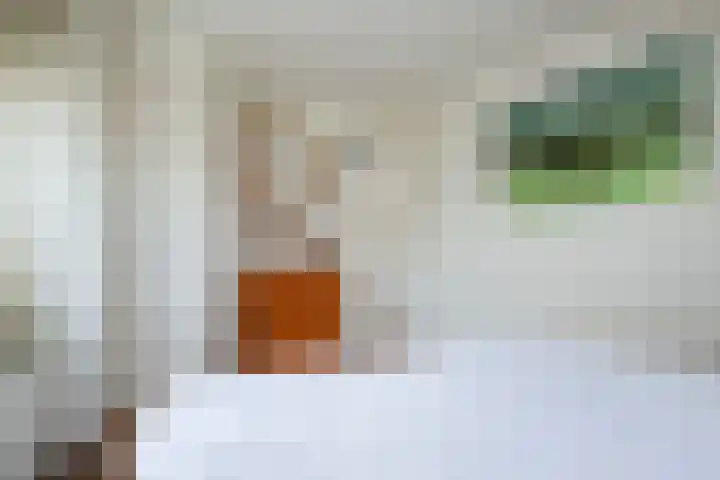 Engherzandweg 9 Linschoten thumbnail 15