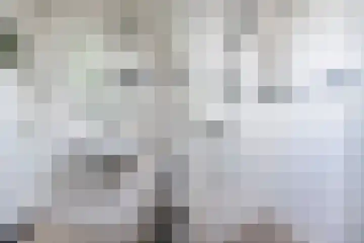 Engherzandweg 9 Linschoten thumbnail 19