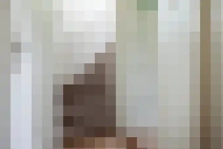 Engherzandweg 9 Linschoten thumbnail 20