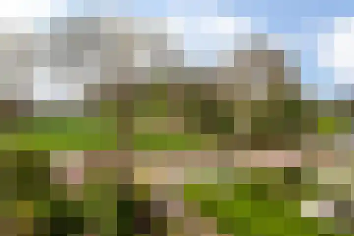 Engherzandweg 9 Linschoten thumbnail 23