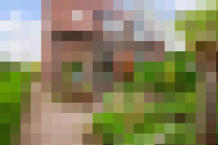 Engherzandweg 9 Linschoten thumbnail 25