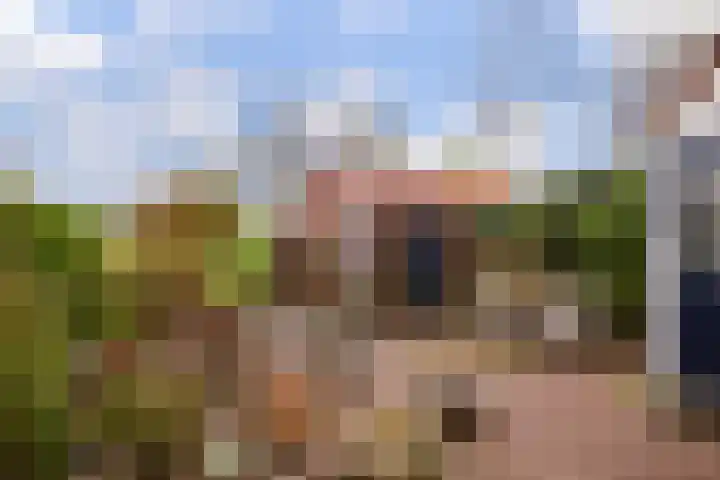 Engherzandweg 9 Linschoten thumbnail 26