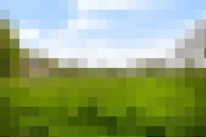 Engherzandweg 9 Linschoten thumbnail 27