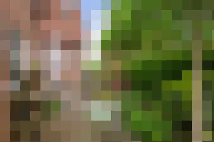Engherzandweg 9 Linschoten thumbnail 28