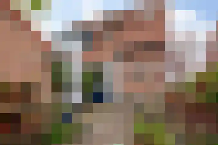 Engherzandweg 9 Linschoten thumbnail 29