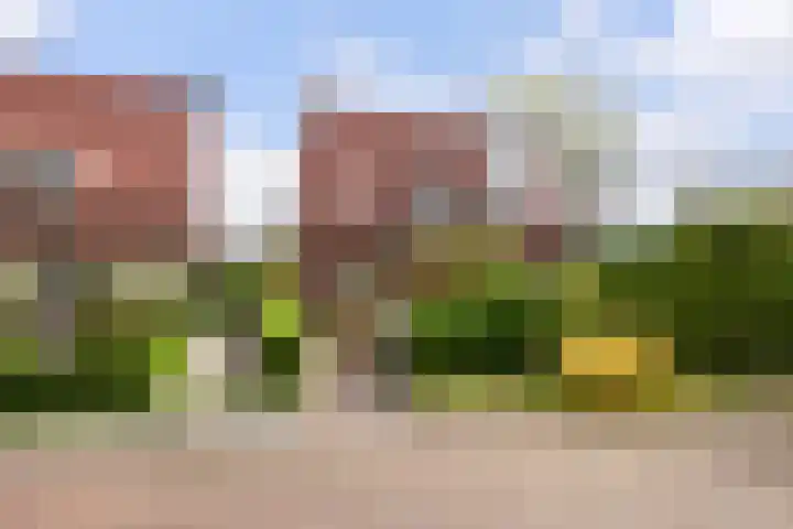 Engherzandweg 9 Linschoten thumbnail 30