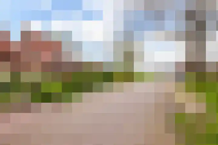 Engherzandweg 9 Linschoten thumbnail 31
