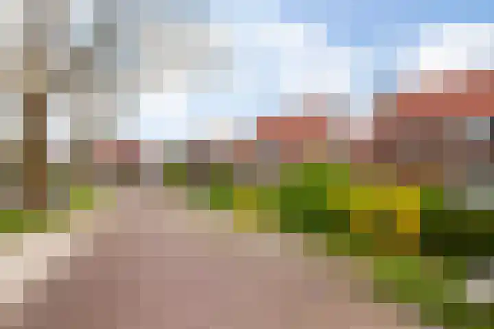 Engherzandweg 9 Linschoten thumbnail 32