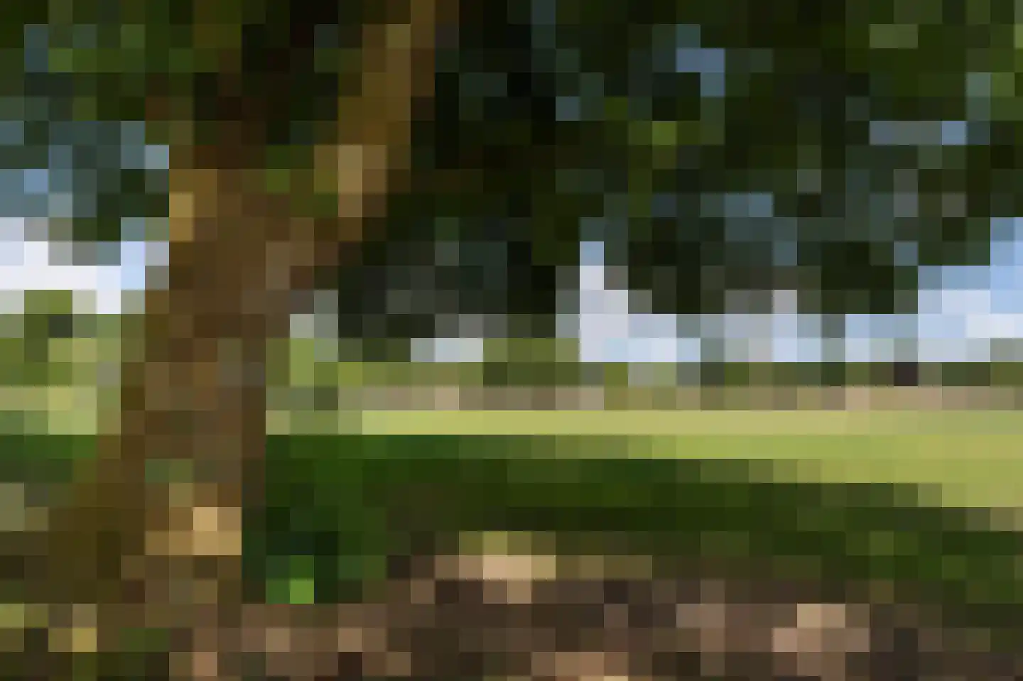 Enghlaan 10 Blaricum thumbnail 12