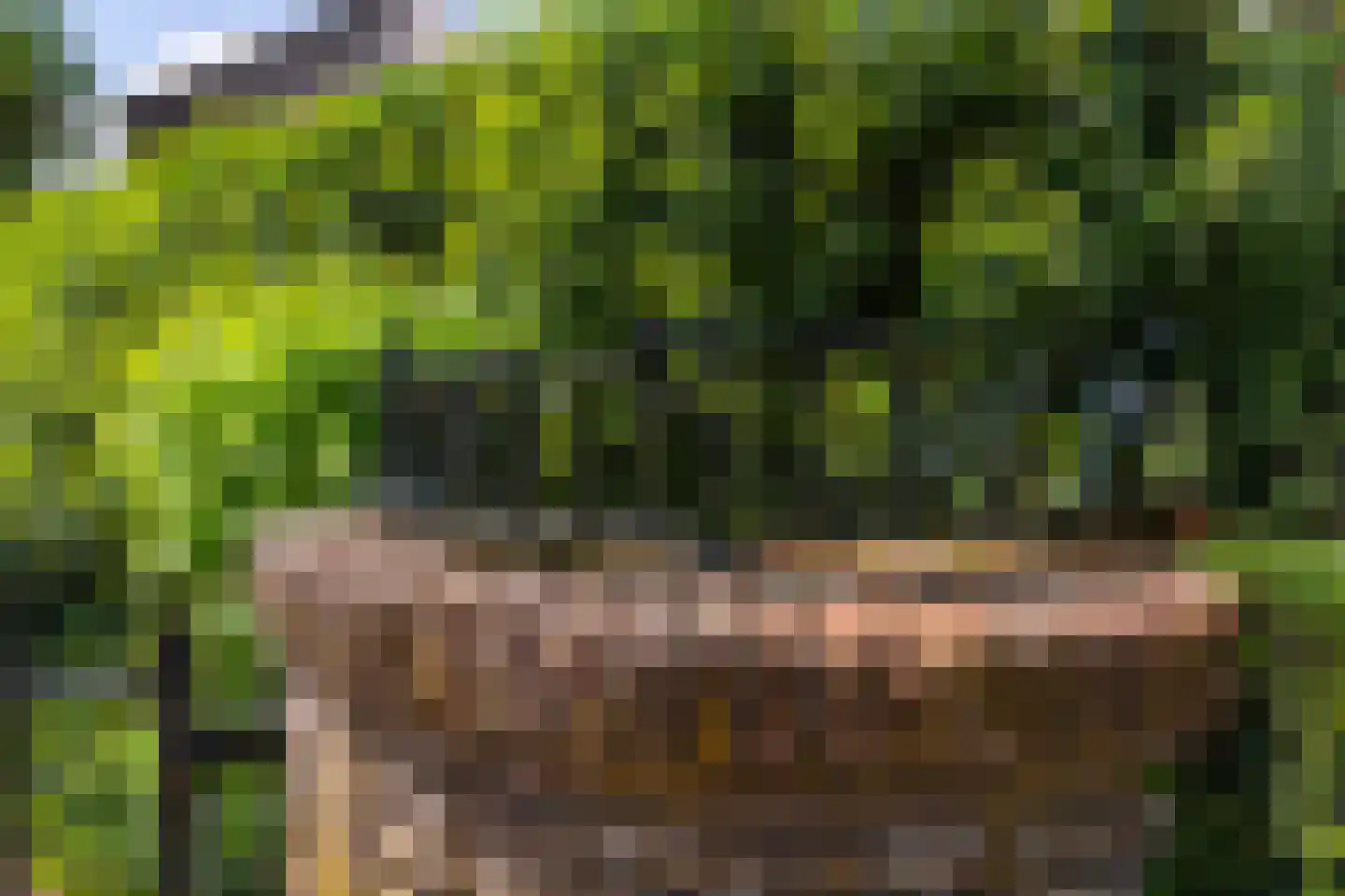 Enghlaan 10 Blaricum thumbnail 15