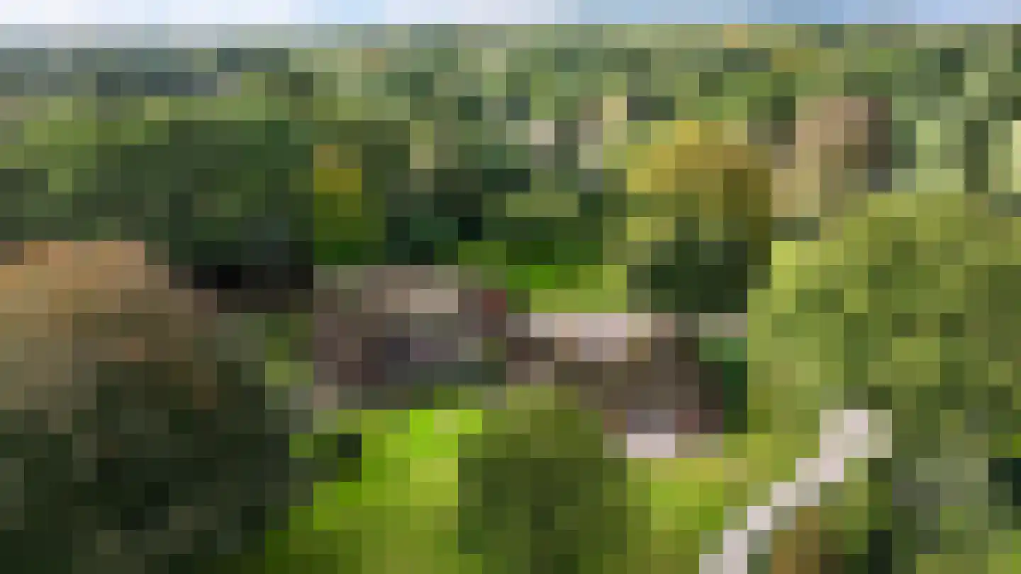 Enghlaan 10 Blaricum thumbnail 16