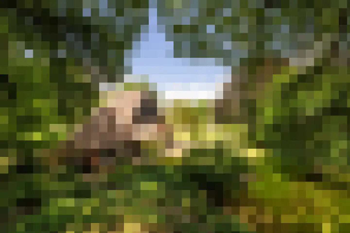 Enghlaan 10 Blaricum thumbnail 4