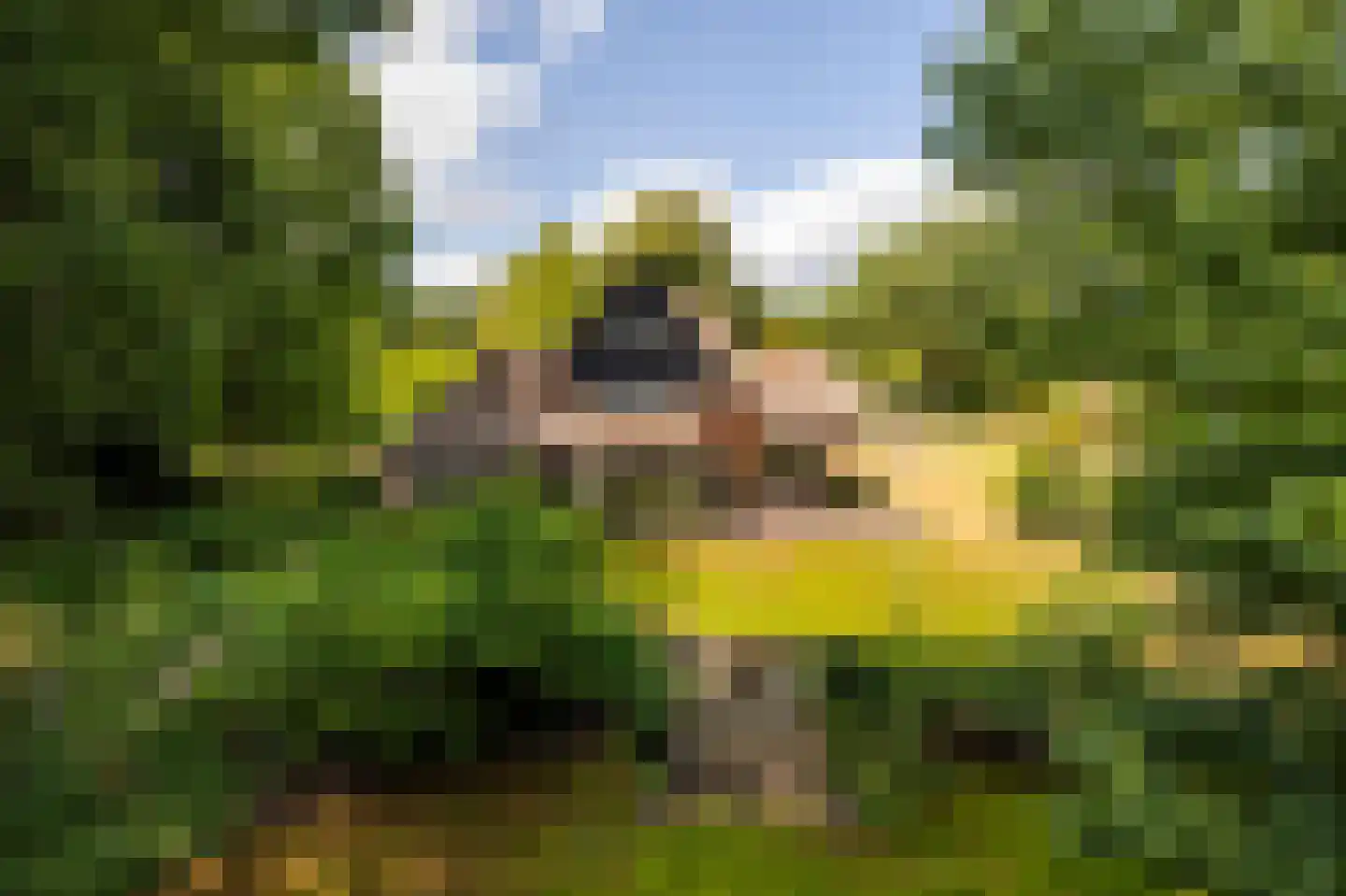 Enghlaan 10 Blaricum thumbnail 5