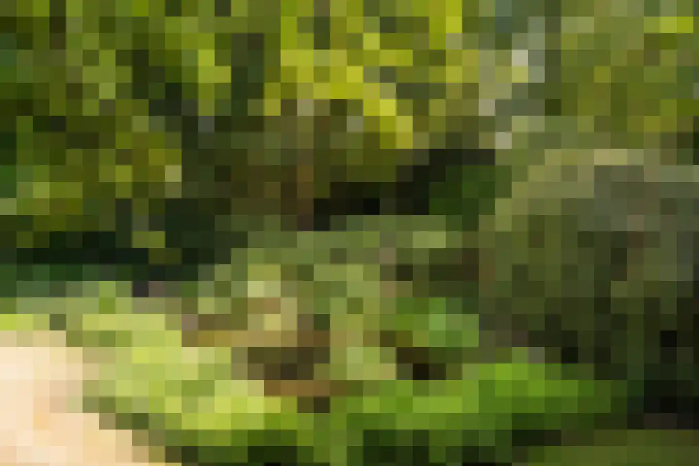 Enghlaan 10 Blaricum thumbnail 8