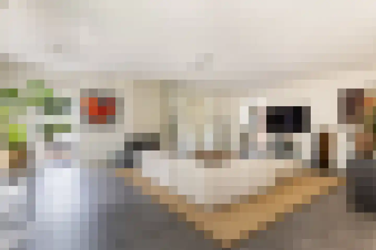 Enghlaan 24 Vleuten thumbnail 11