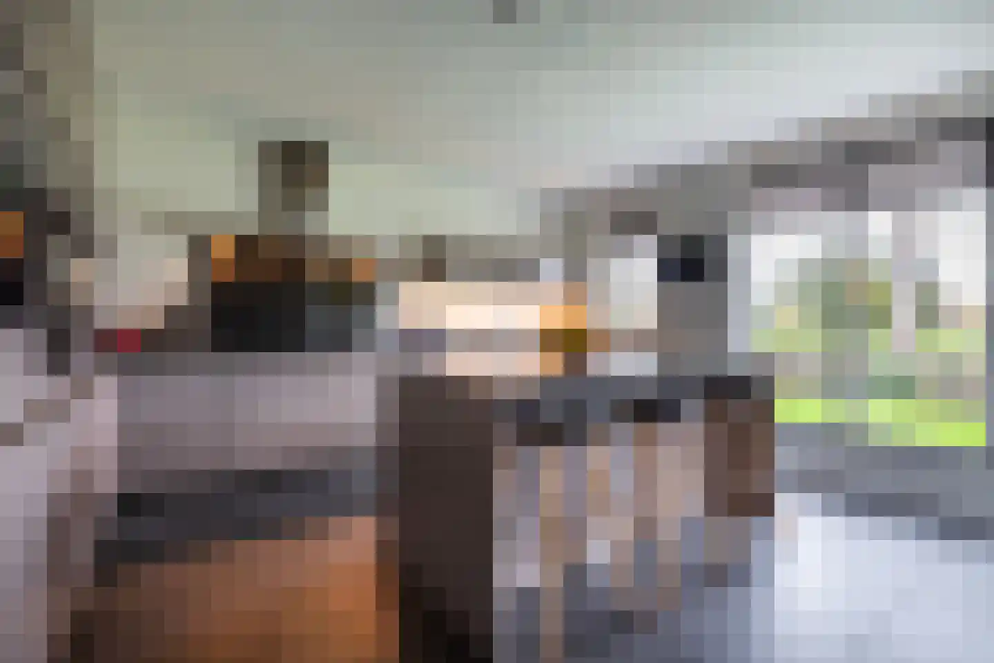 Enghlaan 24 Vleuten thumbnail 12