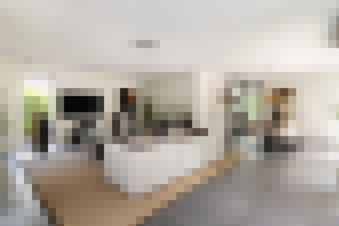 Enghlaan 24 Vleuten thumbnail 12