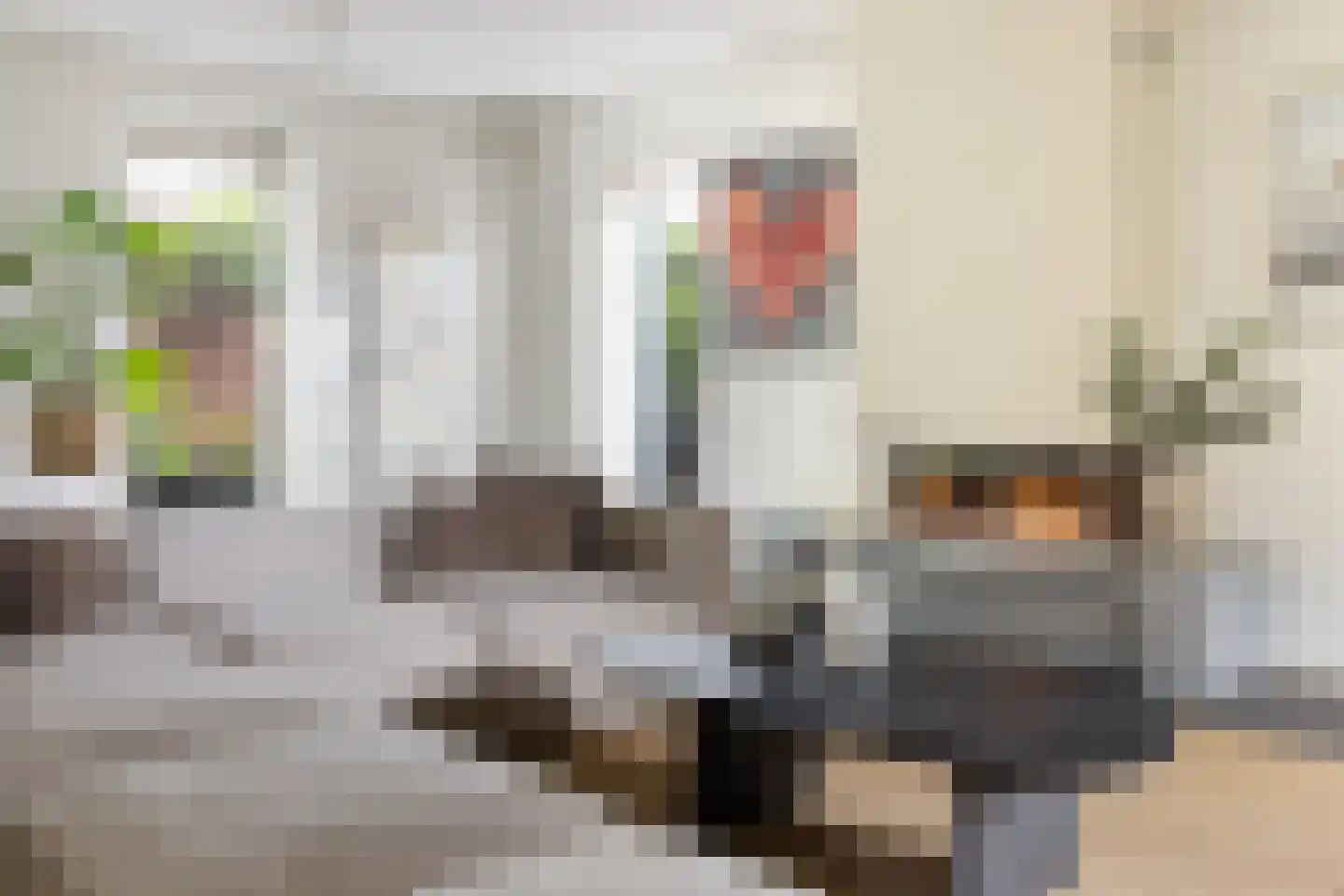 Enghlaan 24 Vleuten thumbnail 15
