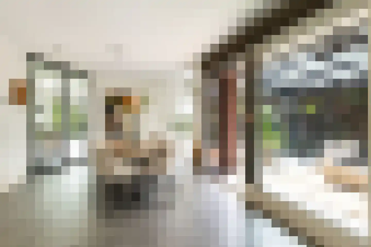 Enghlaan 24 Vleuten thumbnail 22