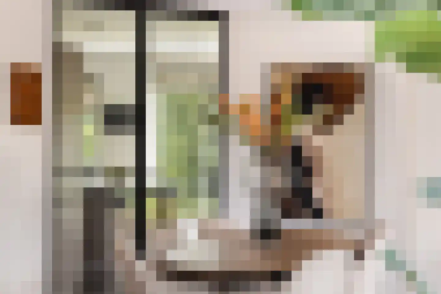 Enghlaan 24 Vleuten thumbnail 33