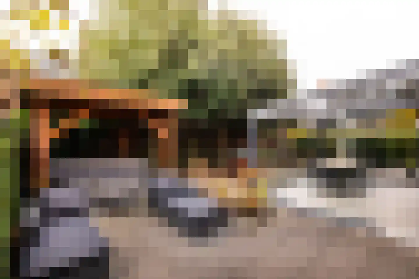 Enghlaan 24 Vleuten thumbnail 38