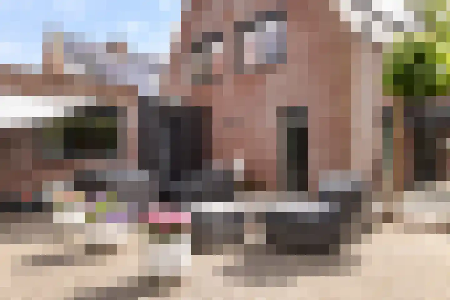 Enghlaan 24 Vleuten thumbnail 39