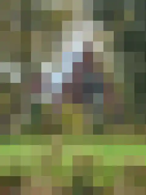 Enghlaan 24 Vleuten thumbnail 41