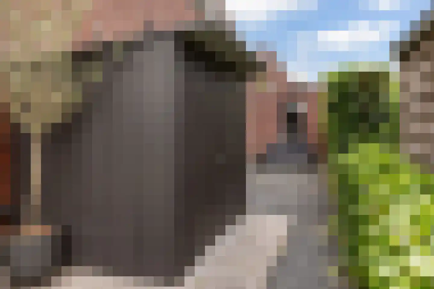 Enghlaan 24 Vleuten thumbnail 42