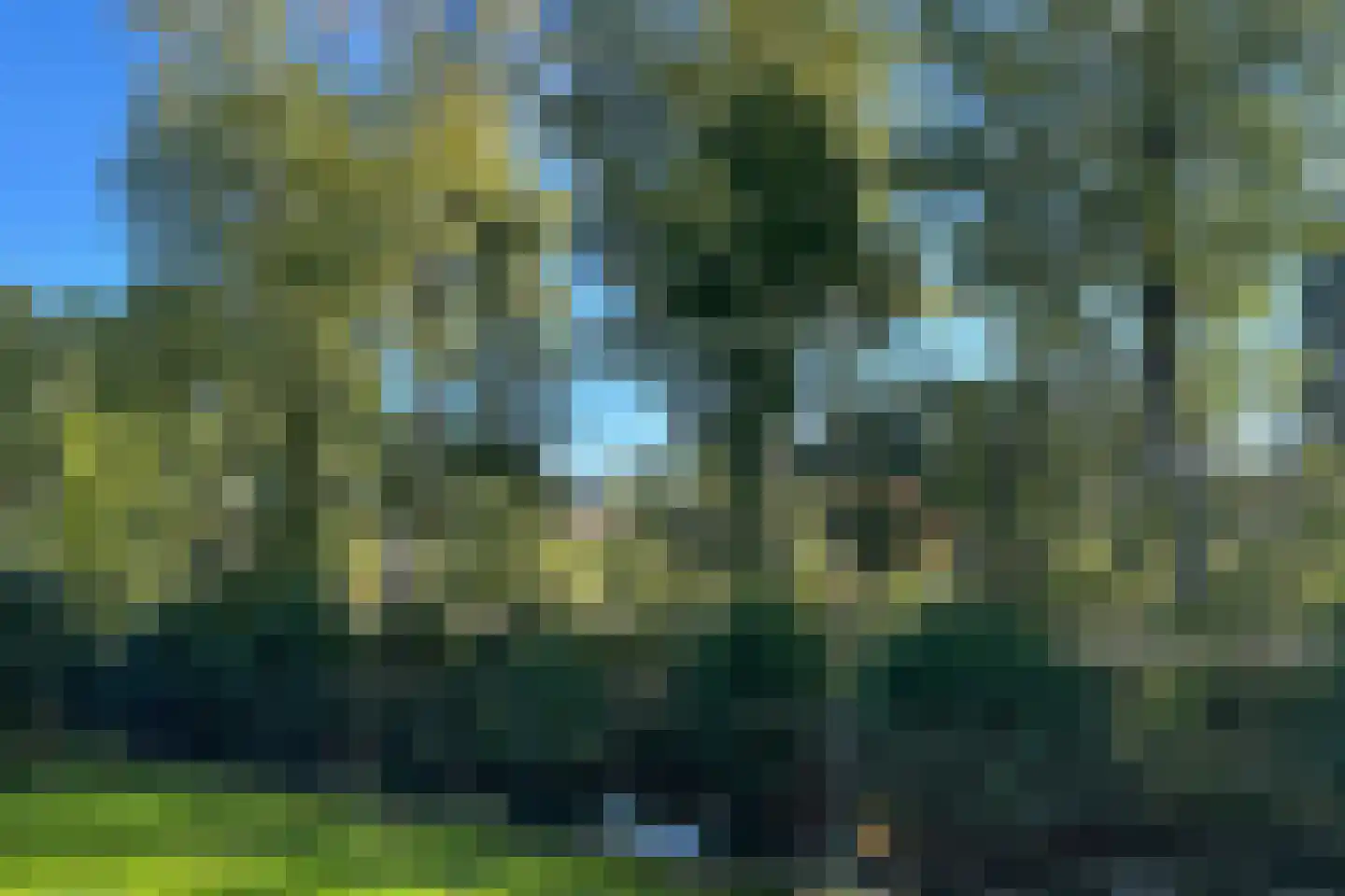 Enghlaan 24 Vleuten thumbnail 43