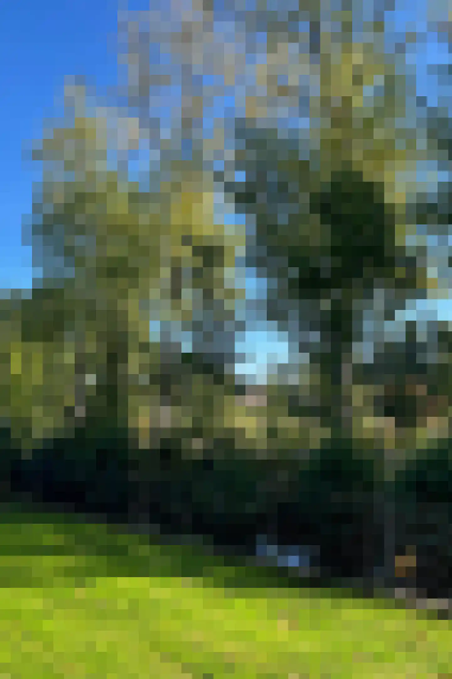 Enghlaan 24 Vleuten thumbnail 44